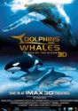 Dolphins and Whales 3D: Tribes of the Ocean