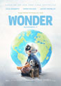 Wonder